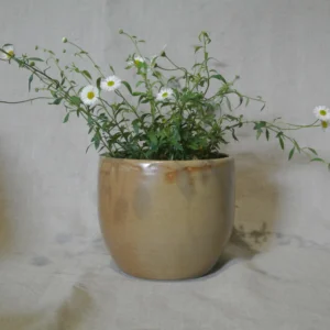 cache pot mordoré